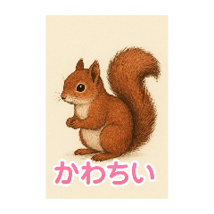 sugar_20251101104351