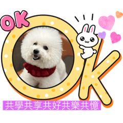 終身學習棉花糖