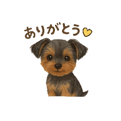 cocoa_20251101153553