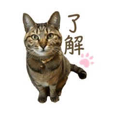 hinata_20251101150201