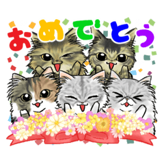 hinachi_20251101162542