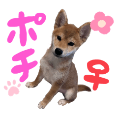 horihori_20251101163643