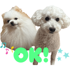 Mochu_20251101155705