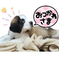 SEN-CHAN251101