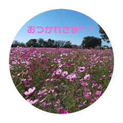 maruyuka_20251101152043