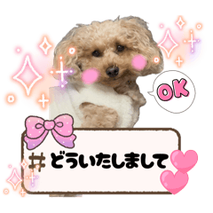 koto_20251101172623
