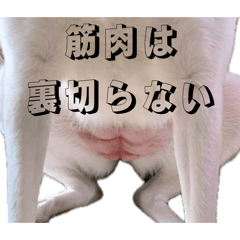 mushichan_20251101164246