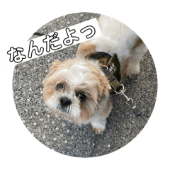 nozomi_20251101170922