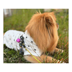 ayumi_20251101144544