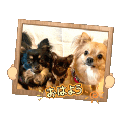 Akane_20251101182118