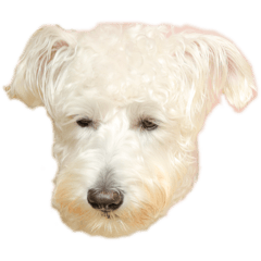 amumu_20251101231603