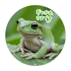 chihiro_20251101194605