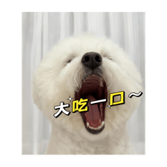 娜娜寶貝好運貼圖