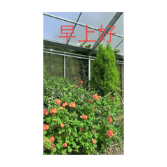 走好路、做好事