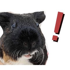 mikan_20251101205403