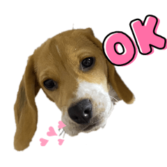 Azuking_20251101221132