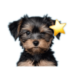 YUKKIE_20251101220954