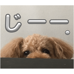 mochitaro_20251102020937