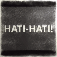 THE LIFE OF A CALFLOWER (HATI-HATI!)