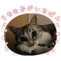 sabachikuwa_20251101215331