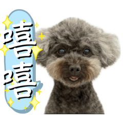 美金&歐元雙胞小日常