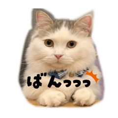 chanchi_20251102000158