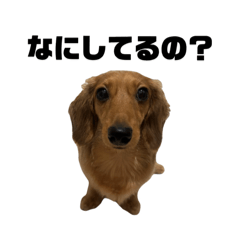 mochi_20251102051950