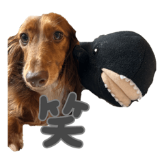 Issey_20251102083136