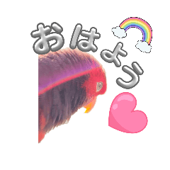 Daiya_20251102091725