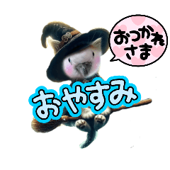 Daiya_20251102104419