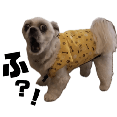 Long fortune stamp vol.5