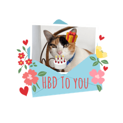 Thanida_20251102123125