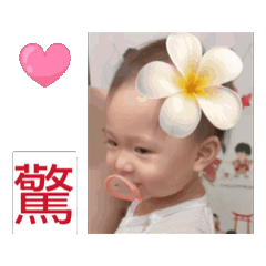 驚 ～拆家又努力學習的芝麻湯圓 。