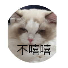 Lukaka是隻貓
