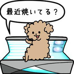 suntansunbed