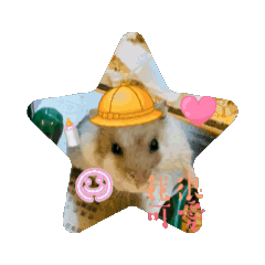 小小倉鼠（斗宅）