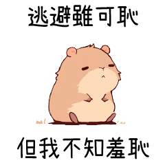 little capybara3