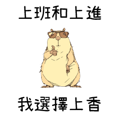 壞掉的水豚❤上班和上進 我選擇上香