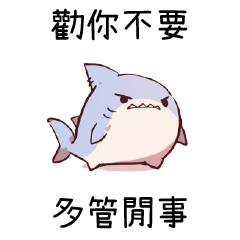 小小鯊魚⭐勸你不要多管閒事