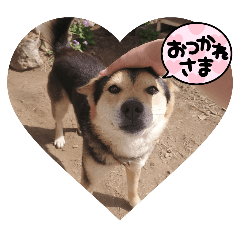 loveyou_20251102134017