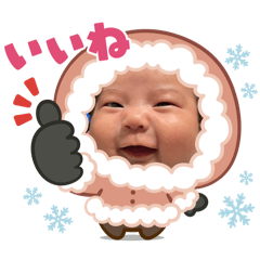 hachi_20251102153641