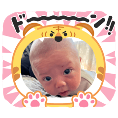 hachi_20251102171542