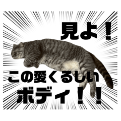 sakura_20251102172237