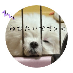 bsowkxu_20251102223439