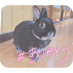 HandM_20251102210604