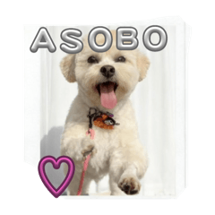 ASAHI_20251102212342