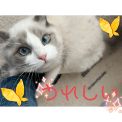 sharon_20251102231837