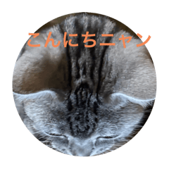 SHINZO_20251103065737