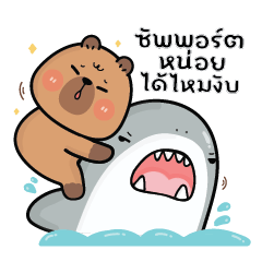 คาปิบาร่าเอง V.20 : Support this me!