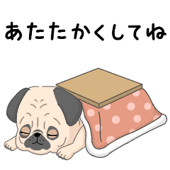 My color パグ　フォーン　冬